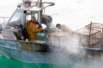 Caseyeur en pêche à la seiche © Philip Plisson / Plisson La Trinité / AA29827 - Nos reportages photos - Normandie