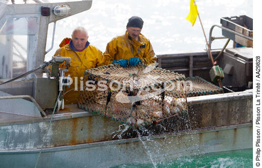 Caseyeur en pêche à la seiche - © Philip Plisson / Plisson La Trinité / AA29828 - Nos reportages photos - Pêche