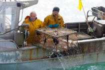 Caseyeur en pêche à la seiche © Philip Plisson / Plisson La Trinité / AA29828 - Nos reportages photos - Caseyeur