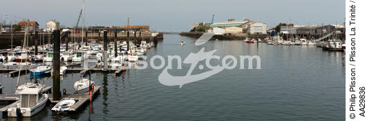 Le port de plaisance de Cherbourg - © Philip Plisson / Plisson La Trinité / AA29836 - Nos reportages photos - Manche [La]
