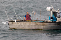 Pêcheur sur l'Aber-Ildut © Philip Plisson / Plisson La Trinité / AA29864 - Nos reportages photos - Métier