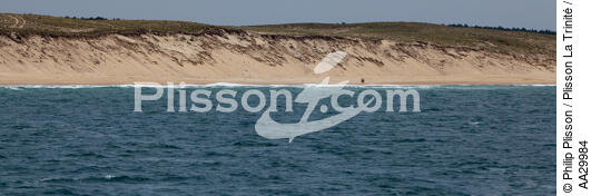 Landes coast - © Philip Plisson / Plisson La Trinité / AA29984 - Photo Galleries - Dune