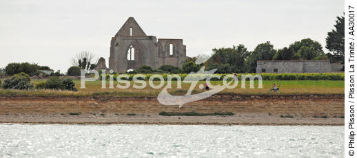 The ruins of the abbey of Châteliers on the island of Ré [AT] - © Philip Plisson / Plisson La Trinité / AA30017 - Photo Galleries - Abbey