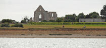 Les ruines de l'abbaye des Châteliers sur l'île de Ré © Philip Plisson / Plisson La Trinité / AA30017 - Nos reportages photos - Abbaye
