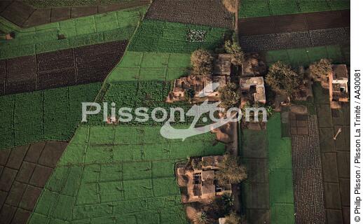 Le delta, la région la plus fertile d'Egypte - © Philip Plisson / Plisson La Trinité / AA30081 - Nos reportages photos - L'Egypte vue du ciel