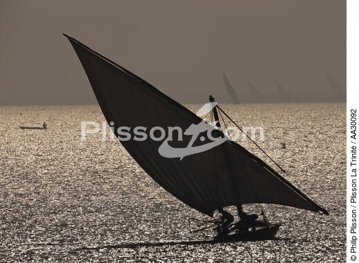 le delta du Nil, Egypte - © Philip Plisson / Plisson La Trinité / AA30092 - Nos reportages photos - Pêche