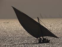 the Nile Delta, Egypt © Philip Plisson / Plisson La Trinité / AA30092 - Photo Galleries - Backlit