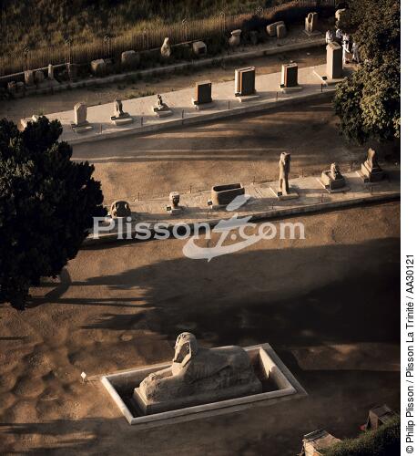 Vestiges de la ville antique de Memphis, Egypte. - © Philip Plisson / Plisson La Trinité / AA30121 - Nos reportages photos - L'Egypte vue du ciel