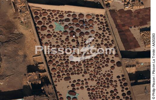 Dates divided into piles after harvest in the fall. - © Philip Plisson / Plisson La Trinité / AA30283 - Photo Galleries - Egypt from above
