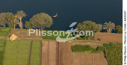 Cultures sur les bords du Nil - © Philip Plisson / Plisson La Trinité / AA30337 - Nos reportages photos - Paysage intérieur