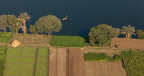 Cultures sur les bords du Nil © Philip Plisson / Plisson La Trinité / AA30337 - Photo Galleries - Nile [The]