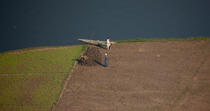 Cultures sur les bords du Nil © Philip Plisson / Plisson La Trinité / AA30338 - Photo Galleries - River [Eygpt]