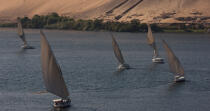 On Nile river. © Philip Plisson / Plisson La Trinité / AA30354 - Photo Galleries - Felucca