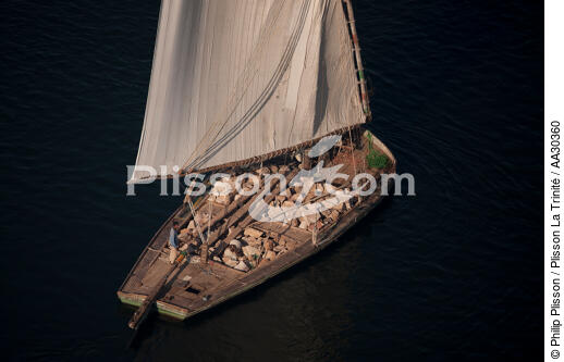 Sur le Nil. - © Philip Plisson / Plisson La Trinité / AA30360 - Nos reportages photos - Felouque