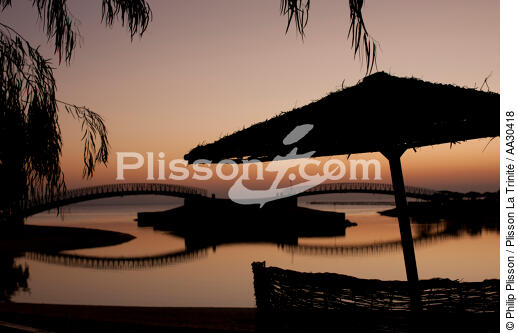 El Gouna en Egypte sur la mer Rouge - © Philip Plisson / Plisson La Trinité / AA30418 - Nos reportages photos - Parasol