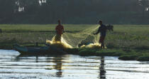 Sur les rives du Nil. © Philip Plisson / Plisson La Trinité / AA30441 - Nos reportages photos - Filet de pêche