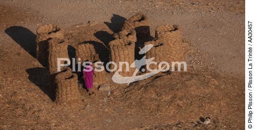 Egypt - © Philip Plisson / Plisson La Trinité / AA30457 - Photo Galleries - Egypt from above