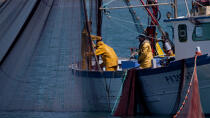 Fishing in front of Narbonne-Plage © Philip Plisson / Plisson La Trinité / AA30636 - Photo Galleries - Fishing vessel