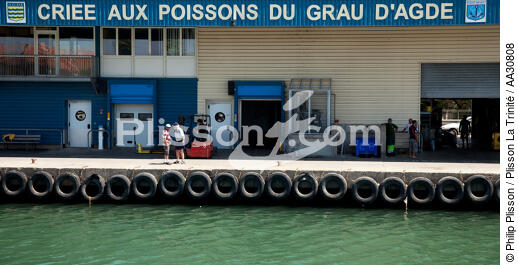 Agde - © Philip Plisson / Plisson La Trinité / AA30808 - Photo Galleries - Agde