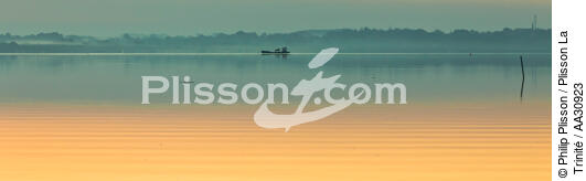 Morning in the Gulf of Morbihan - © Philip Plisson / Plisson La Trinité / AA30923 - Photo Galleries - Shellfish farming