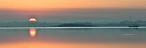 Morning in the Gulf of Morbihan © Philip Plisson / Plisson La Trinité / AA30925 - Photo Galleries - Star