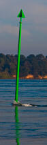 Morning in the Gulf of Morbihan © Philip Plisson / Plisson La Trinité / AA30932 - Photo Galleries - Moment of the day