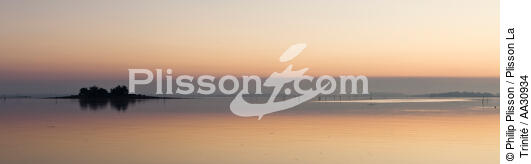 Petit matin dans le Golfe du Morbihan - © Philip Plisson / Plisson La Trinité / AA30934 - Nos reportages photos - Site [56]