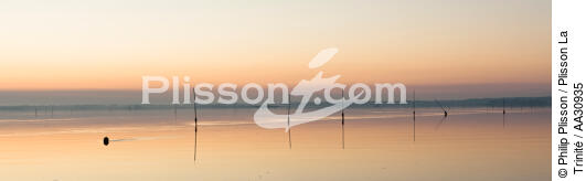 Petit matin dans le Golfe du Morbihan - © Philip Plisson / Plisson La Trinité / AA30935 - Nos reportages photos - Site [56]