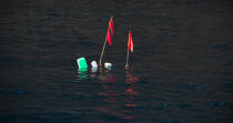 Buoys to record La Ciotat [AT] © Philip Plisson / Plisson La Trinité / AA31341 - Photo Galleries - Fishing equipment