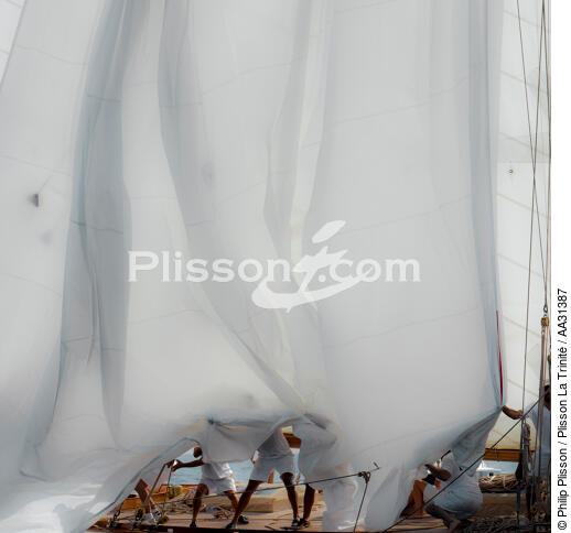 Monaco Classic Week 2011 - © Philip Plisson / Plisson La Trinité / AA31387 - Photo Galleries - Racing monohull
