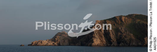 L'île du Levant - © Philip Plisson / Plisson La Trinité / AA31525 - Nos reportages photos - De Porquerolles à Théoule-sur-mer