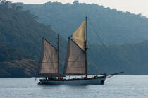 Old ship off the island of Port-Cros [AT] © Philip Plisson / Plisson La Trinité / AA31649 - Photo Galleries - Island [83]
