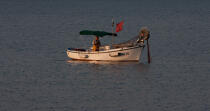 Fishing in front of Cannes © Philip Plisson / Plisson La Trinité / AA32107 - Photo Galleries - Rowing boat