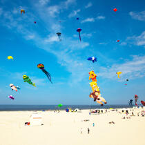 International Meetings of kites in Berck sur Mer [AT] © Philip Plisson / Plisson La Trinité / AA32445 - Photo Galleries - Berck