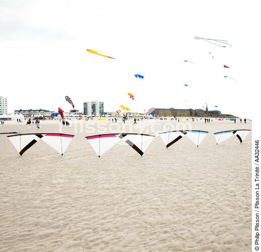 International Meetings of kites in Berck sur Mer [AT] - © Philip Plisson / Plisson La Trinité / AA32446 - Photo Galleries - Kite