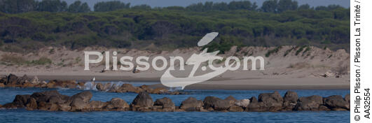 Paysage des Saintes Marie de la mer - © Philip Plisson / Plisson La Trinité / AA32554 - Nos reportages photos - Ville [13]