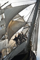 The Belem between Groix and Belle-Ile [AT] © Philip Plisson / Plisson La Trinité / AA32764 - Photo Galleries - Tall ships