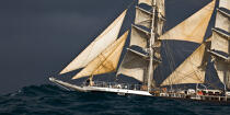 The Belem between Groix and Belle-Ile [AT] © Philip Plisson / Plisson La Trinité / AA32781 - Photo Galleries - Tall ships