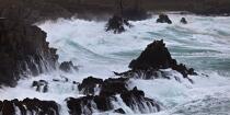 La tempête Joachim sur les côtes bretonnes. © Philip Plisson / Plisson La Trinité / AA32851 - Nos reportages photos - La tempête Joachim sur les côtes bretonnes
