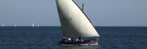Lateen sail at Agde © Philip Plisson / Plisson La Trinité / AA32916 - Photo Galleries - Agde