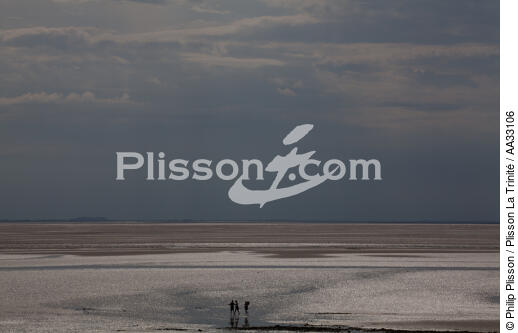 En baie du Mont-Saint-Michel - © Philip Plisson / Plisson La Trinité / AA33106 - Nos reportages photos - Manche [La]