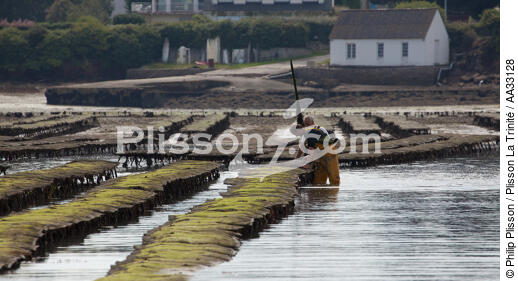Locmariaquer - © Philip Plisson / Plisson La Trinité / AA33128 - Photo Galleries - Low tide