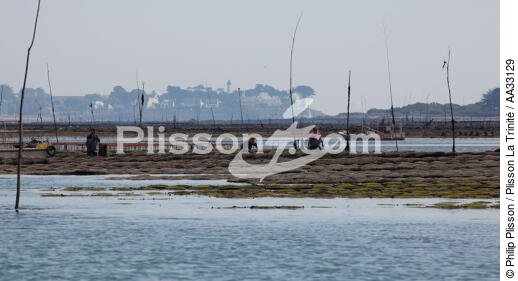 Locmariaquer - © Philip Plisson / Plisson La Trinité / AA33129 - Photo Galleries - Low tide