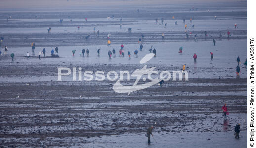 Fishing at low tide - © Philip Plisson / Plisson La Trinité / AA33176 - Photo Galleries - Low tide