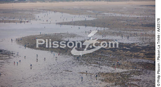 Fishing at low tide - © Philip Plisson / Plisson La Trinité / AA33178 - Photo Galleries - Fishing on foot for shellfish at low tide