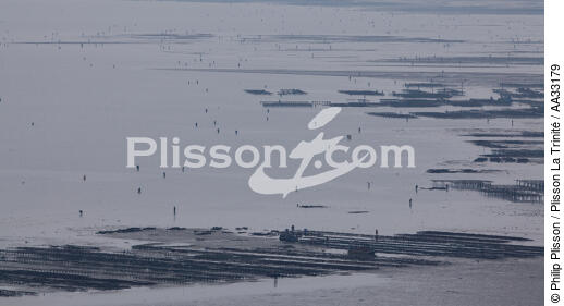Pêche a pied en baie de Quiberon - © Philip Plisson / Plisson La Trinité / AA33179 - Nos reportages photos - Marée basse