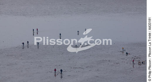 Pêche a pied en baie de Quiberon - © Philip Plisson / Plisson La Trinité / AA33181 - Nos reportages photos - Site [56]