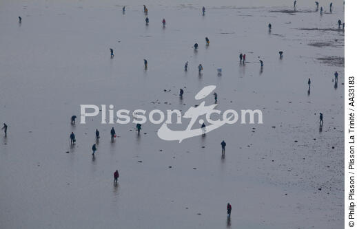 Fishing at low tide - © Philip Plisson / Plisson La Trinité / AA33183 - Photo Galleries - Quiberon bay [The]