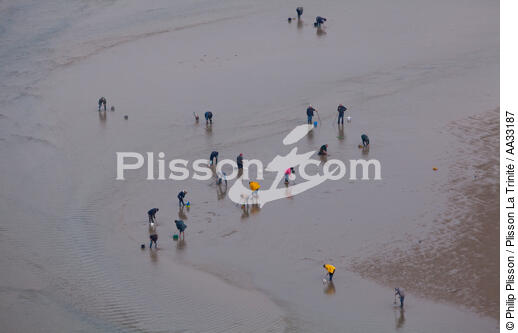 Fishing at low tide - © Philip Plisson / Plisson La Trinité / AA33187 - Photo Galleries - Low tide