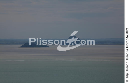 Baie du Mont-Saint-Michel - © Philip Plisson / Plisson La Trinité / AA33421 - Nos reportages photos - Grande marée